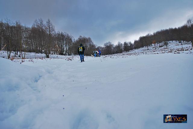 manto di neve.JPG